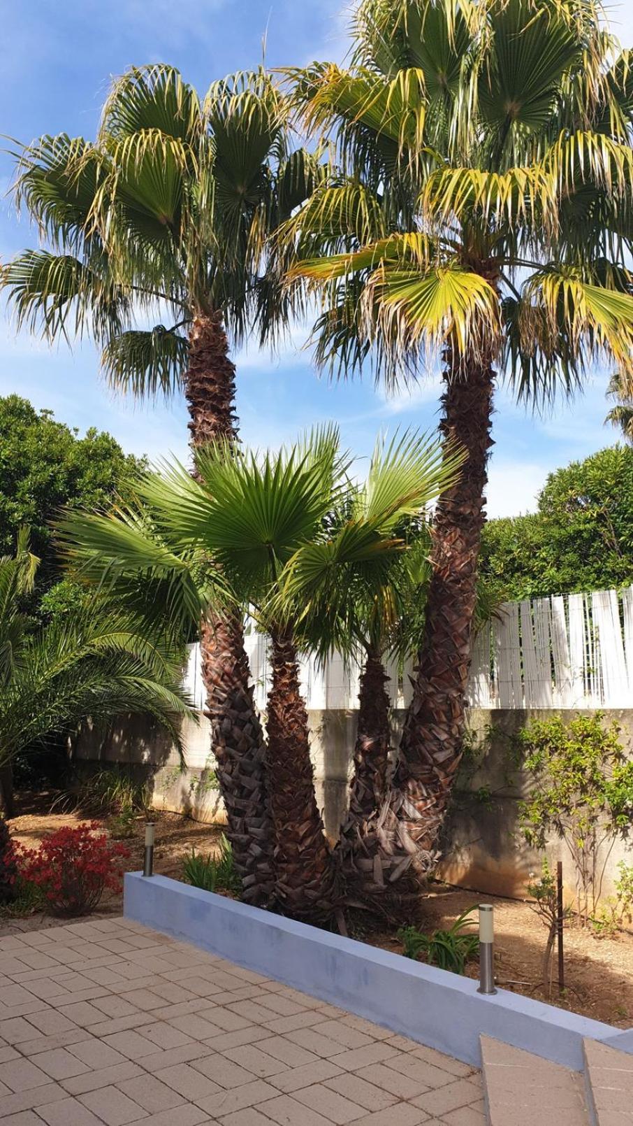 לה קיוטאט Villa Andalucia, Pisc Chauf Mai A Sept מראה חיצוני תמונה